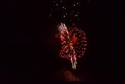 DSC_3399 (Large).JPG